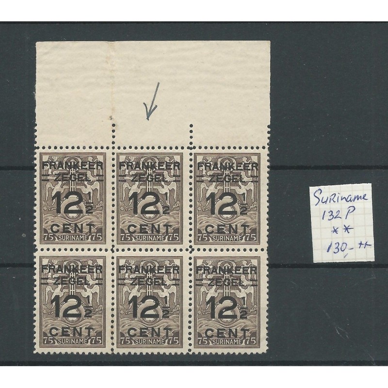 Suriname 132P Brandkast zegel plaatfout MNH/postfris CV 130+ € Suriname 132P Brandkast zegel plaatfout MNH/postfris CV 130+ €