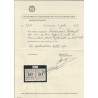 Suriname P16-III-P16-I  Paartje  Port 1911  MH/ongebr  CV 325 € Certificaat