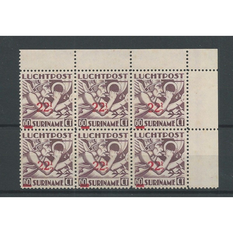 Suriname LP24f in blok van 6 LP24 MNH/postfris CV 70 € Suriname LP24f in blok van 6 LP24 MNH/postfris CV 70 €
