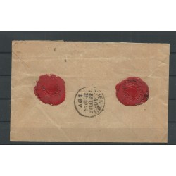 Nederland 38 en 41 op R-Mengfrankering Den Haag-Wenen 1894  CV 225 €