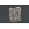 Nederland 28 met "RAALTE 1895" grootrond  VFU/gebr  CV 100++€