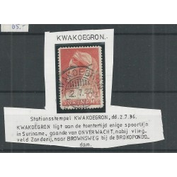 Suriname 167 met STATIONSSTEMPEL 1936 VFU/gebr  CV ?? €