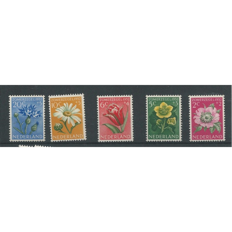 Nederland 583-587 Zomer 1953 MNH/postfris CV 20 € Nederland 583-587 Zomer 1953 MNH/postfris CV 20 €